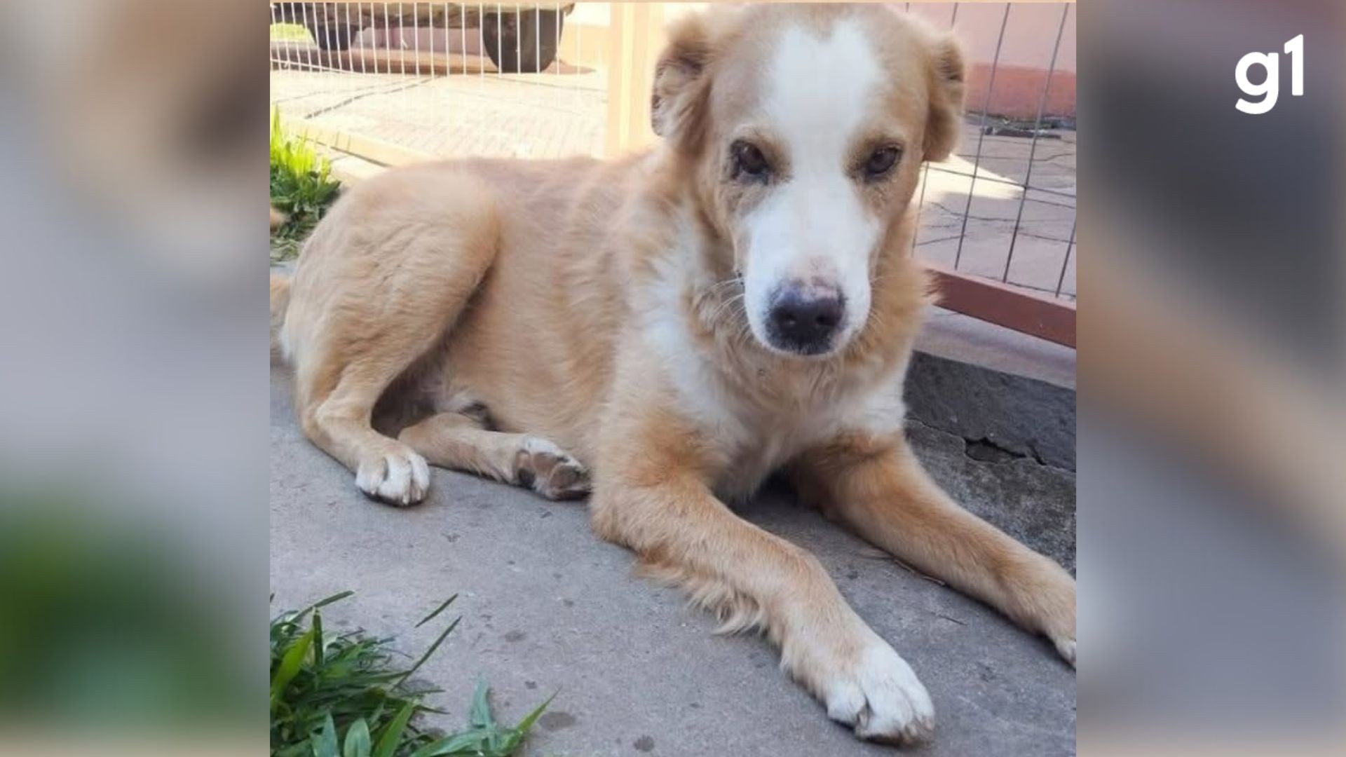 foto Not&iacute;cia Santa Maria